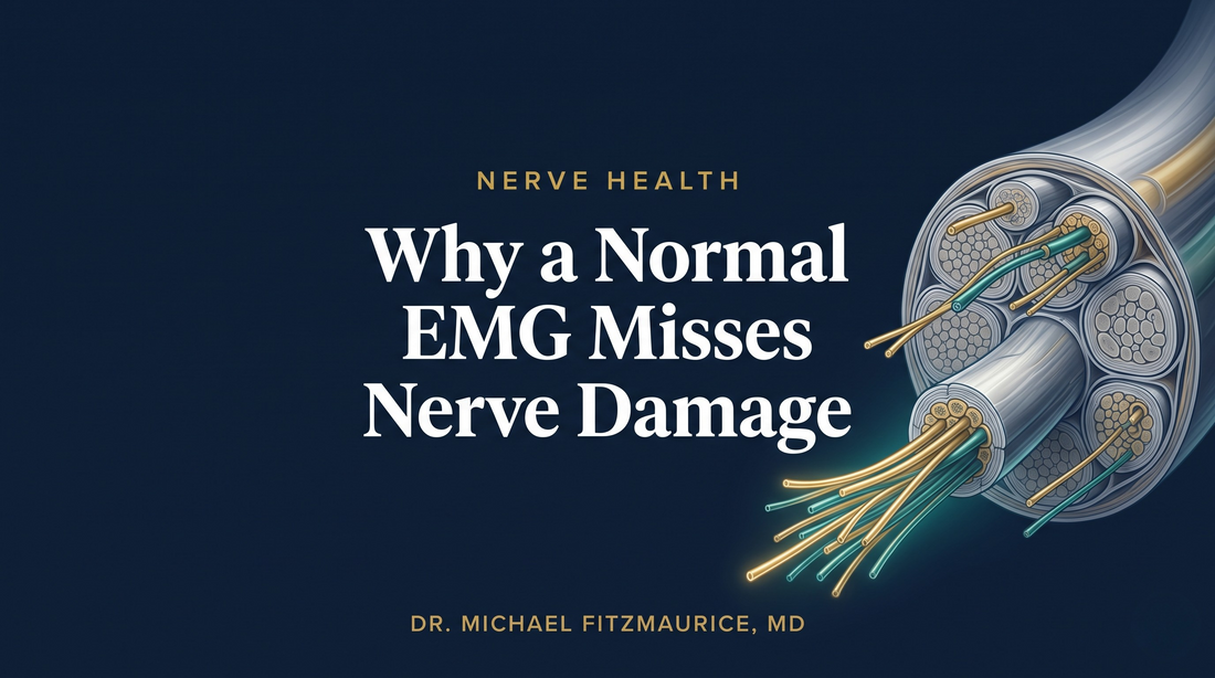 Peripheral nerve cross-section showing the small fibers damaged in small fiber neuropathy that a normal EMG cannot detect — DrFitzNutrition.com