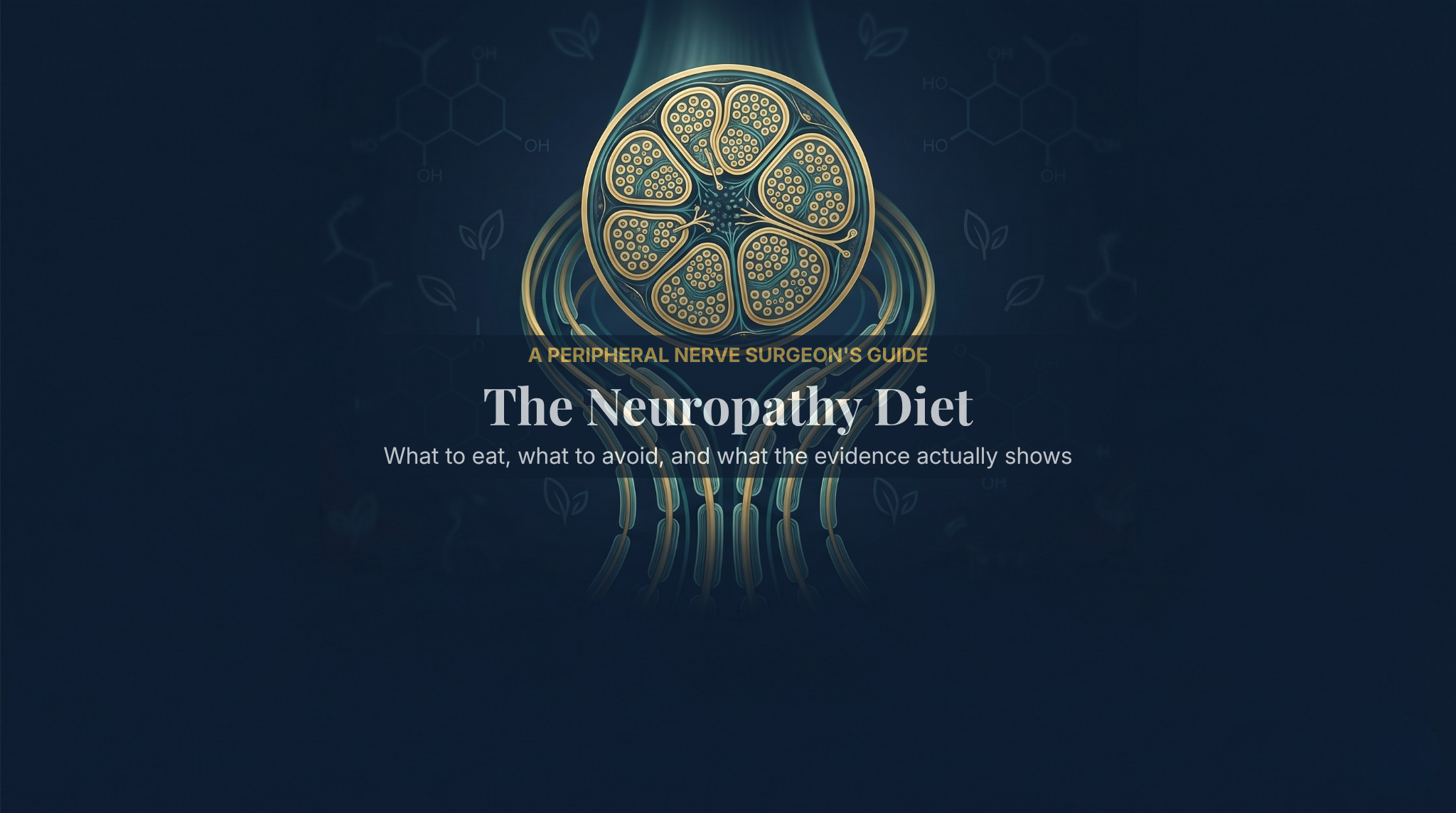 The neuropathy diet, foods to eat and avoid to protect peripheral nerves, a peripheral nerve surgeon's guide — DrFitzNutrition.com