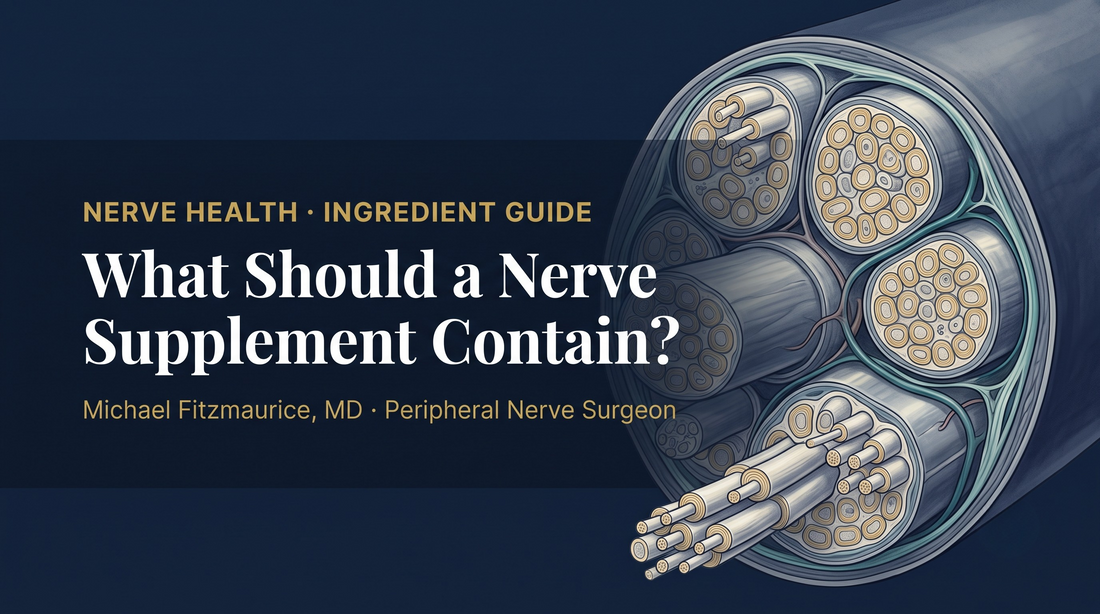 Anatomical cross-section of a peripheral nerve showing myelinated axons, fascicles, and connective sheaths, titled as a nerve supplement ingredient guide — DrFitzNutrition.com